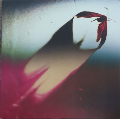 Are We All Angels : Coloured Vinyl