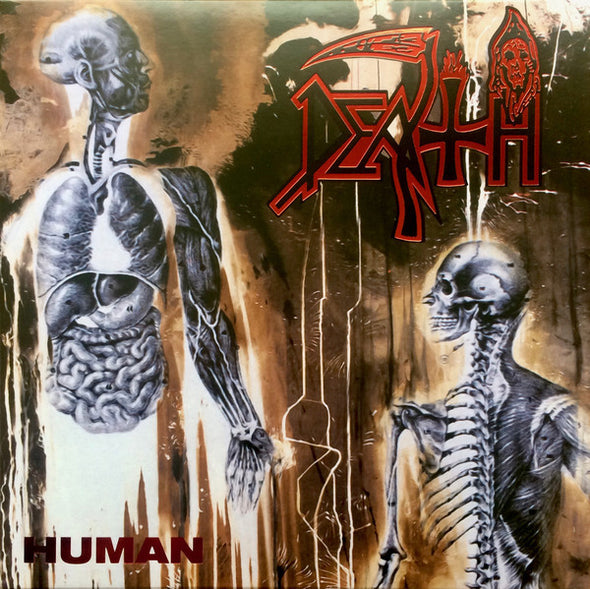 Human