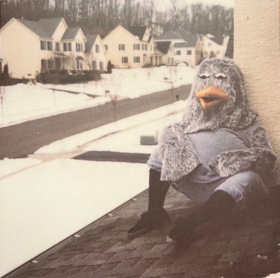 Suburbia I've Given You All And Now I'm Nothing : Clear Vinyl