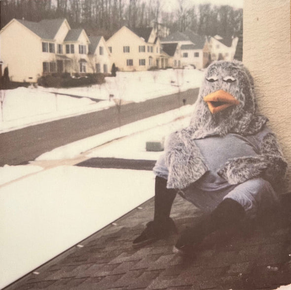 Suburbia I've Given You All And Now I'm Nothing : Clear Vinyl