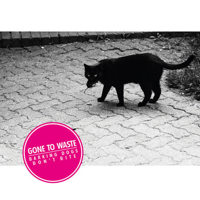 Barking Dogs Don't Bite : Coloured Vinyl