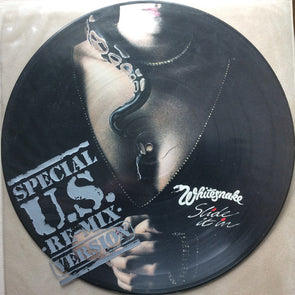 Slide It In : Picture Disc